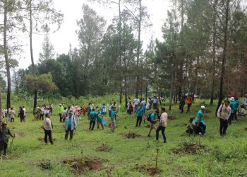 Wakil Ketua DPRD Jateng Dorong Program Reboisasi Kawasan Kritis Dimasifkan