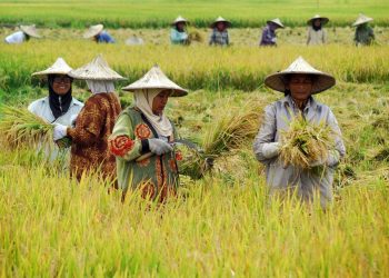 Dukung Ketahanan Pangan, DPRD Jateng Minta Perlindungan Petani dan Nelayan Diperkuat