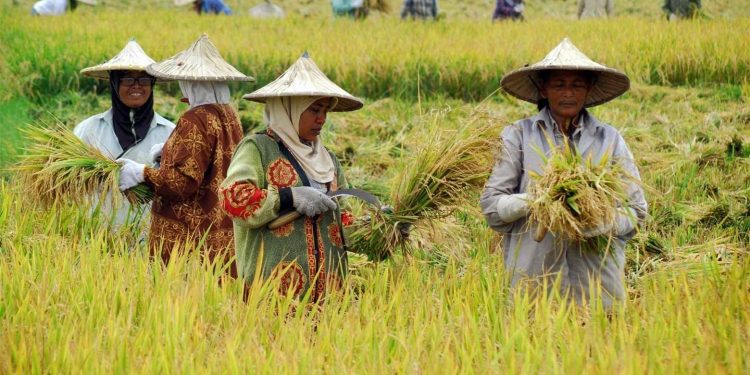 Dukung Ketahanan Pangan, DPRD Jateng Minta Perlindungan Petani dan Nelayan Diperkuat