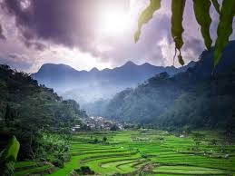 Geliakan Ekonomi Lokal, Waka DPRD Jateng Dorong Desa Wisata Kreatif Sajikan Event