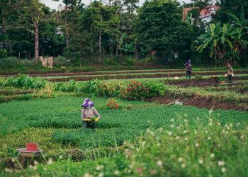 Waka DPRD Jateng Tekankan APBD Harus Pro Rakyat dan Kesejahteraan Publik