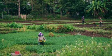 Waka DPRD Jateng Tekankan APBD Harus Pro Rakyat dan Kesejahteraan Publik