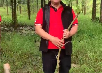 PDI Perjuangan Demak Tanam Pohon dan Tebar Benih Ikan di Karangawen–Jragung