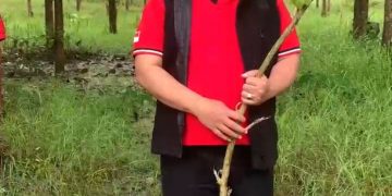 PDI Perjuangan Demak Tanam Pohon dan Tebar Benih Ikan di Karangawen–Jragung