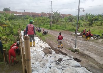 Respons Dampak Hujan Ekstrem di Tembalang, Pemkot Langsung Perkuat Tanggul Kali Babon