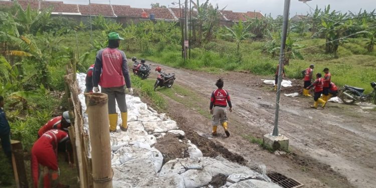 Respons Dampak Hujan Ekstrem di Tembalang, Pemkot Langsung Perkuat Tanggul Kali Babon